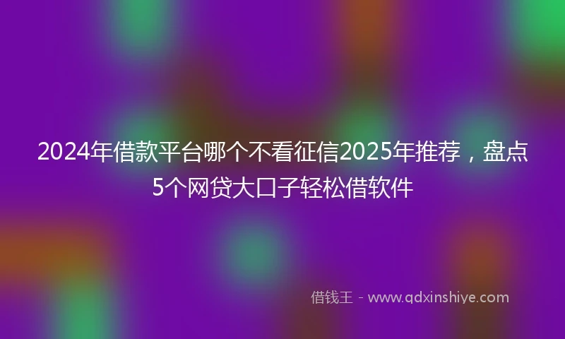 2024年借款平台哪个不看征信2025年推荐，盘点5个网贷大口子轻松借软件