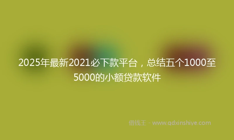 2025年最新2021必下款平台，总结五个1000至5000的小额贷款软件