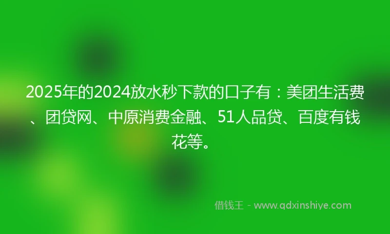 2025年的2024放水秒下款的口子有：美团生活费、团贷网、中原消费金融、51人品贷、百度有钱花等。