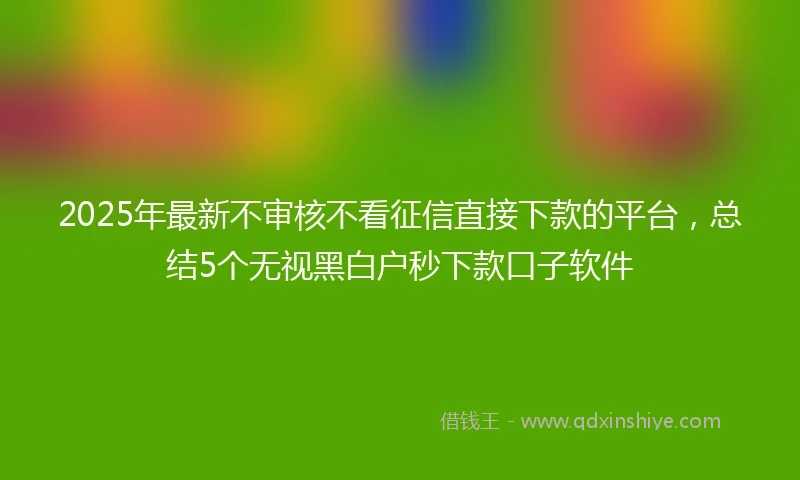 2025年最新不审核不看征信直接下款的平台，总结5个无视黑白户秒下款口子软件