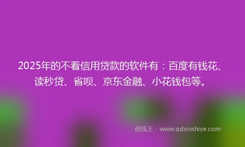 2025年的不看信用贷款的软件有：百度有钱花、读秒贷、省呗、京东金融、小花钱包等。