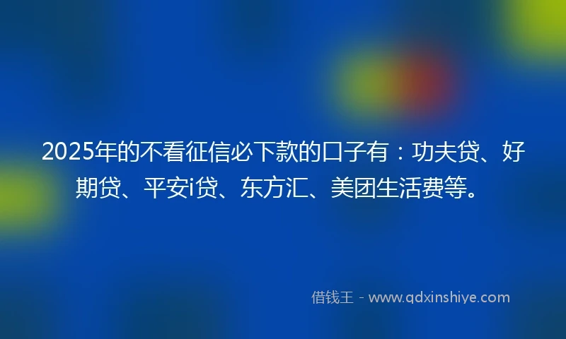 2025年的不看征信必下款的口子有：功夫贷、好期贷、平安i贷、东方汇、美团生活费等。