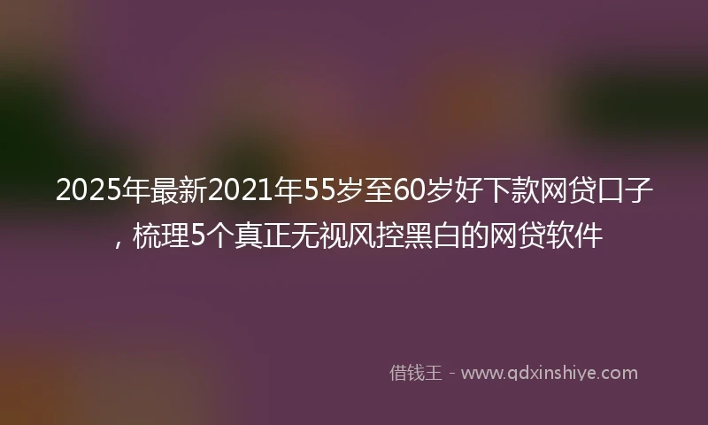 2025年最新2021年55岁至60岁好下款网贷口子，梳理5个真正无视风控黑白的网贷软件