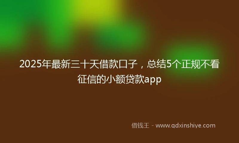 2025年最新三十天借款口子，总结5个正规不看征信的小额贷款app