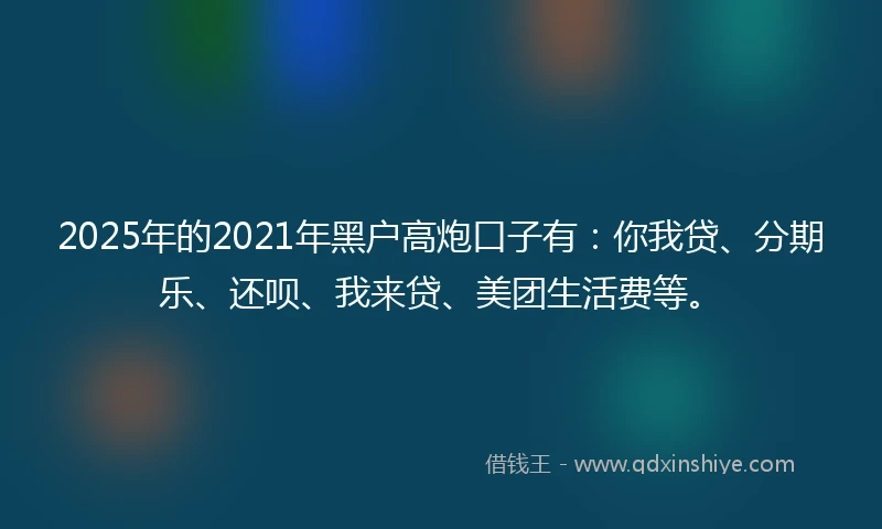 2025年的2021年黑户高炮口子有：你我贷、分期乐、还呗、我来贷、美团生活费等。