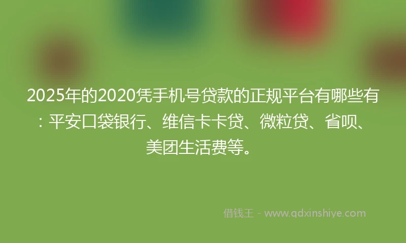2025年的2020凭手机号贷款的正规平台有哪些有：平安口袋银行、维信卡卡贷、微粒贷、省呗、美团生活费等。