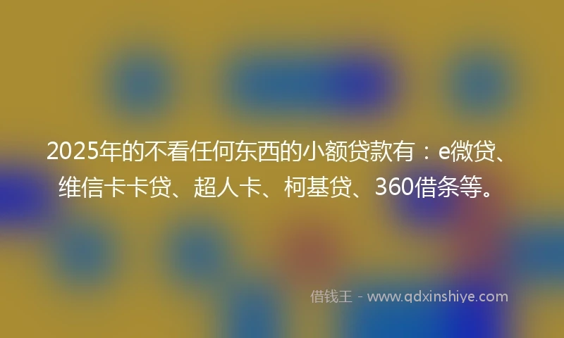 2025年的不看任何东西的小额贷款有：e微贷、维信卡卡贷、超人卡、柯基贷、360借条等。