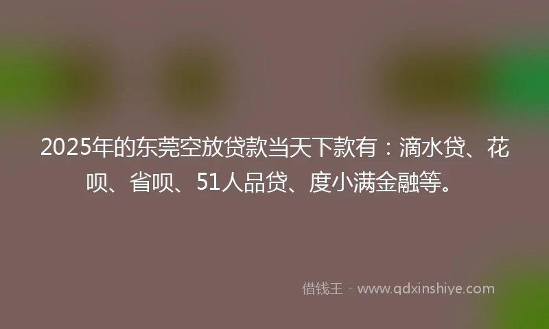 2025年的东莞空放贷款当天下款有：滴水贷、花呗、省呗、51人品贷、度小满金融等。