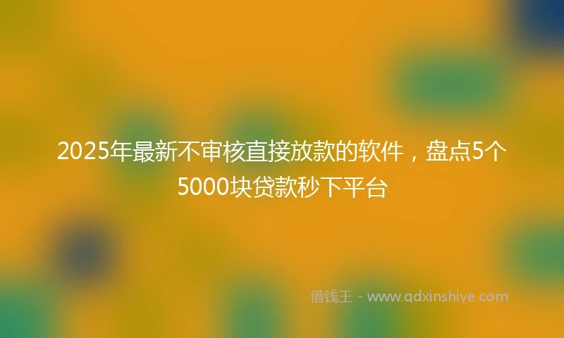 2025年最新不审核直接放款的软件，盘点5个5000块贷款秒下平台