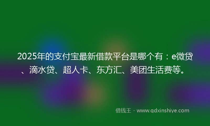 2025年的支付宝最新借款平台是哪个有：e微贷、滴水贷、超人卡、东方汇、美团生活费等。