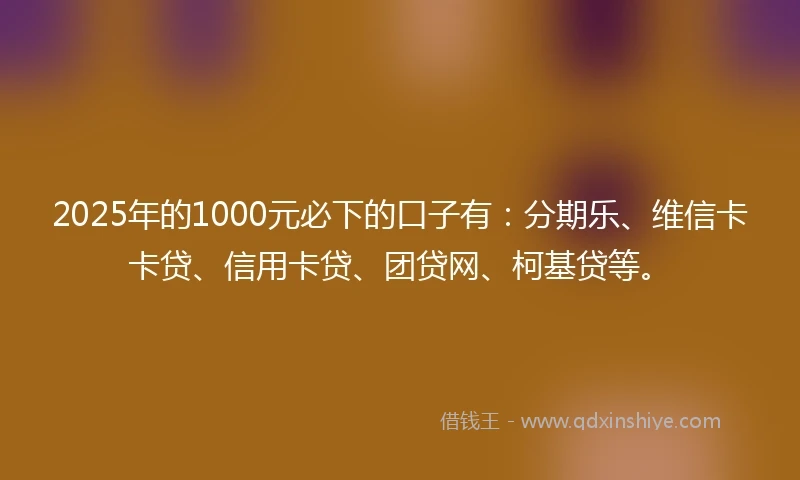 2025年的1000元必下的口子有：分期乐、维信卡卡贷、信用卡贷、团贷网、柯基贷等。