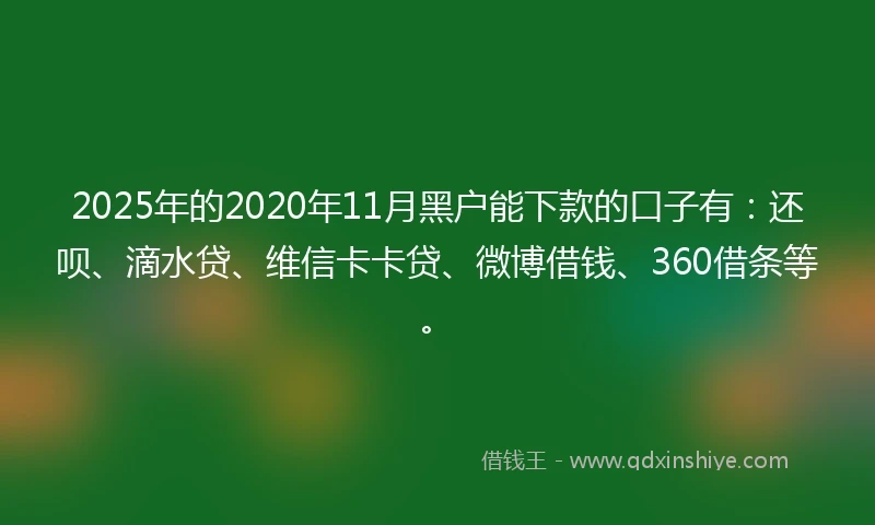 2025年的2020年11月黑户能下款的口子有：还呗、滴水贷、维信卡卡贷、微博借钱、360借条等。