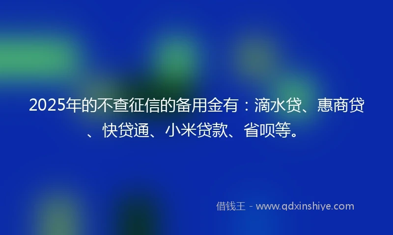 2025年的不查征信的备用金有：滴水贷、惠商贷、快贷通、小米贷款、省呗等。