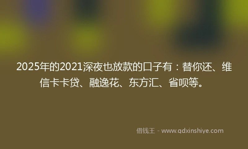 2025年的2021深夜也放款的口子有：替你还、维信卡卡贷、融逸花、东方汇、省呗等。