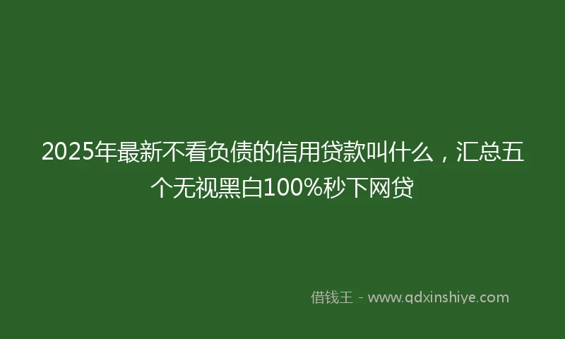 2025年最新不看负债的信用贷款叫什么，汇总五个无视黑白100%秒下网贷