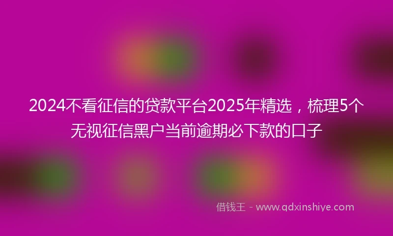 2024不看征信的贷款平台2025年精选，梳理5个无视征信黑户当前逾期必下款的口子