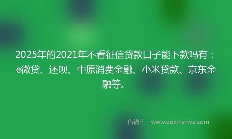 2025年的2021年不看征信贷款口子能下款吗有：e微贷、还呗、中原消费金融、小米贷款、京东金融等。