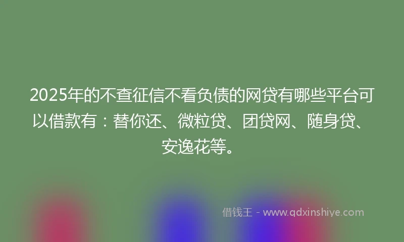 2025年的不查征信不看负债的网贷有哪些平台可以借款有：替你还、微粒贷、团贷网、随身贷、安逸花等。