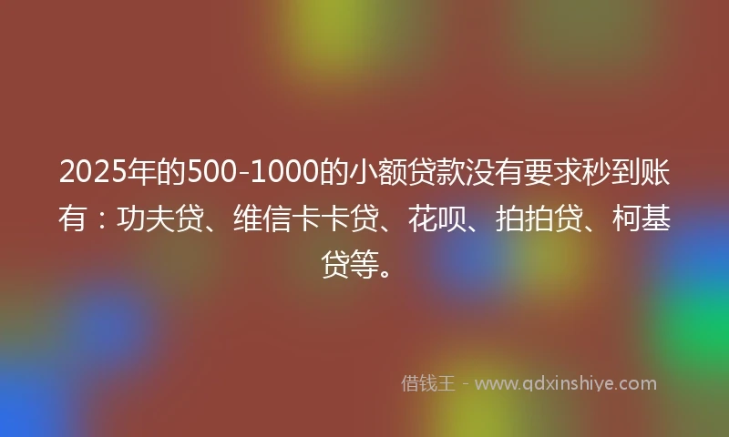 2025年的500-1000的小额贷款没有要求秒到账有：功夫贷、维信卡卡贷、花呗、拍拍贷、柯基贷等。