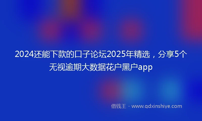 2024还能下款的口子论坛2025年精选，分享5个无视逾期大数据花户黑户app