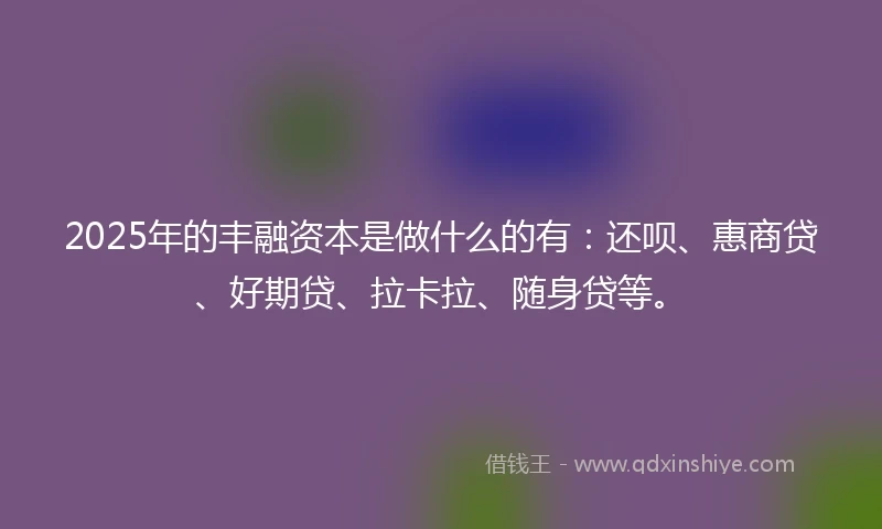 2025年的丰融资本是做什么的有：还呗、惠商贷、好期贷、拉卡拉、随身贷等。