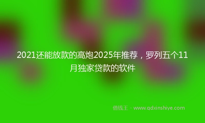 2021还能放款的高炮2025年推荐，罗列五个11月独家贷款的软件