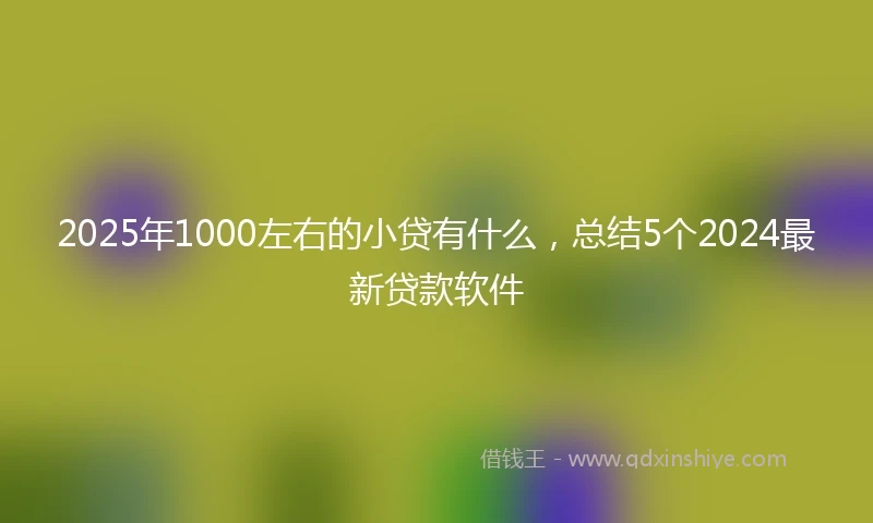 2025年1000左右的小贷有什么,总结5个2024最新贷款软件