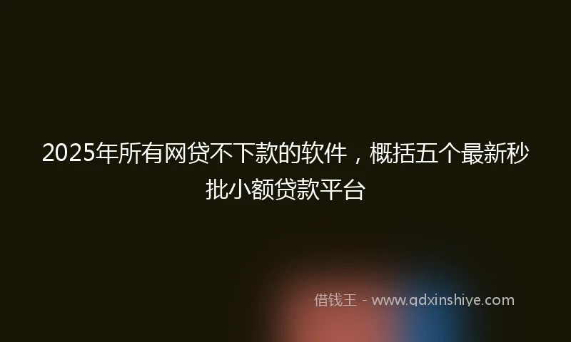 2025年所有网贷不下款的软件，概括五个最新秒批小额贷款平台