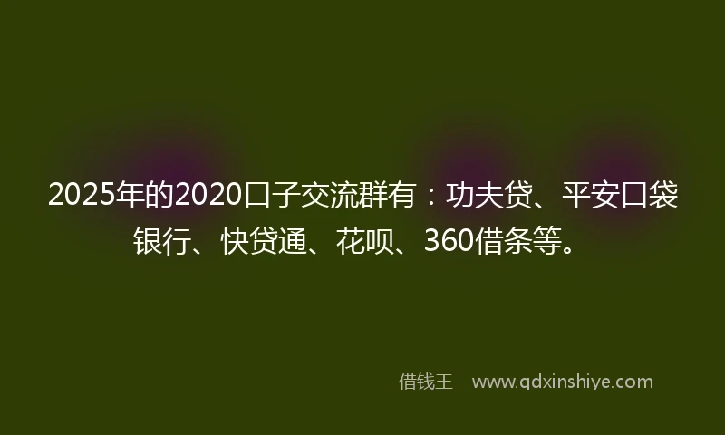 2025年的2020口子交流群有：功夫贷、平安口袋银行、快贷通、花呗、360借条等。