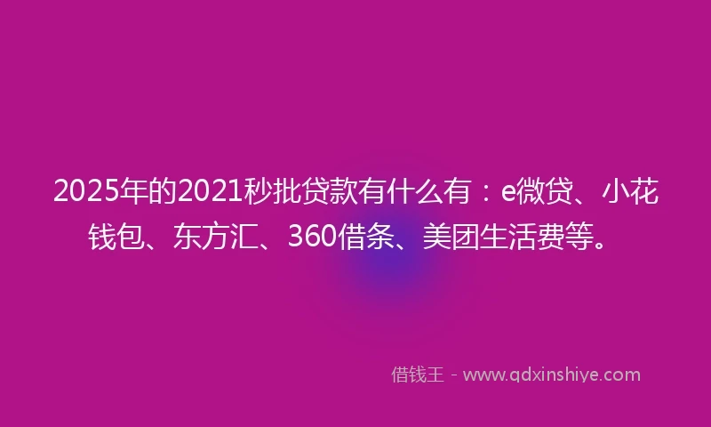 2025年的2021秒批贷款有什么有：e微贷、小花钱包、东方汇、360借条、美团生活费等。