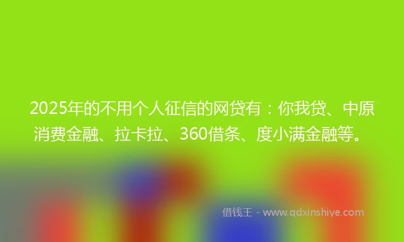 2025年的不用个人征信的网贷有：你我贷、中原消费金融、拉卡拉、360借条、度小满金融等。