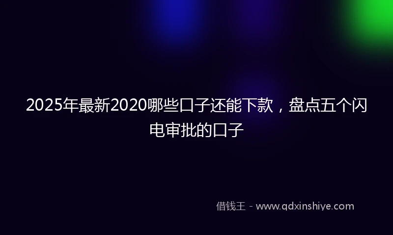 2025年最新2020哪些口子还能下款，盘点五个闪电审批的口子