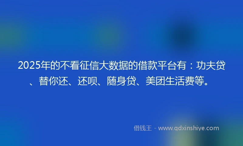 2025年的不看征信大数据的借款平台有：功夫贷、替你还、还呗、随身贷、美团生活费等。