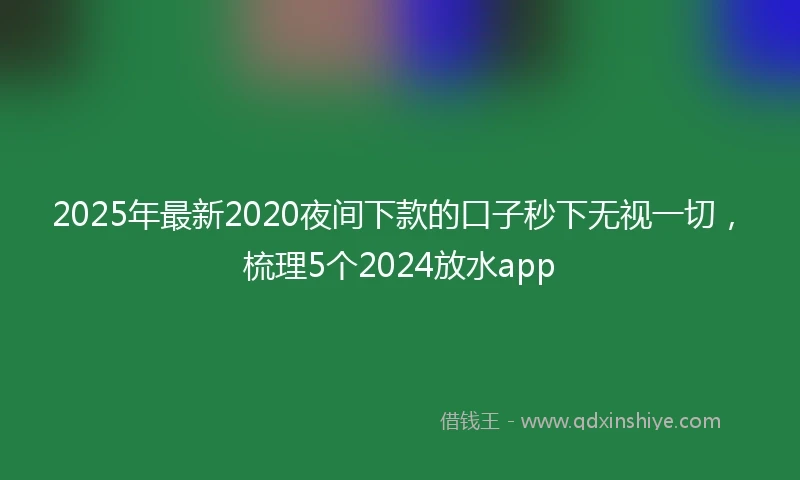 2025年最新2020夜间下款的口子秒下无视一切，梳理5个2024放水app