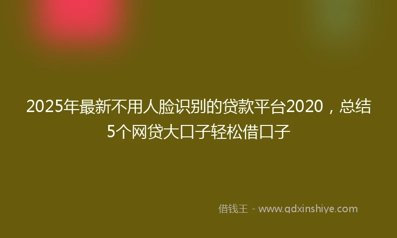 2025年最新不用人脸识别的贷款平台2020，总结5个网贷大口子轻松借口子