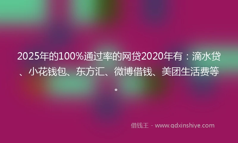 2025年的100%通过率的网贷2020年有：滴水贷、小花钱包、东方汇、微博借钱、美团生活费等。