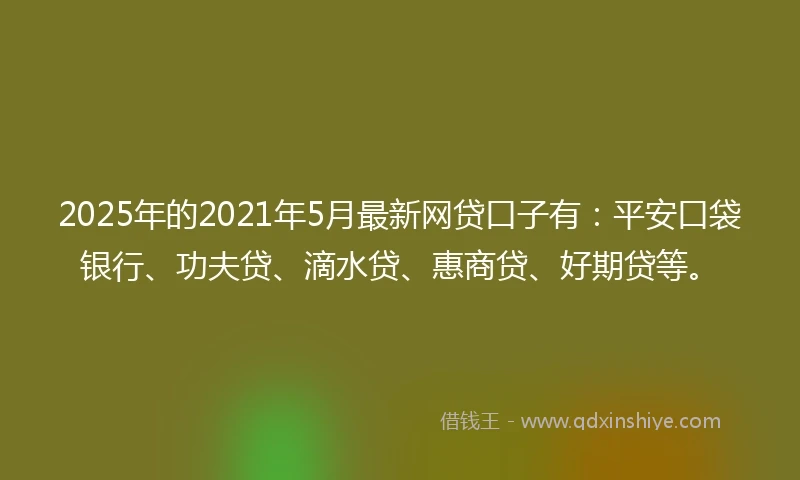 2025年的2021年5月最新网贷口子有：平安口袋银行、功夫贷、滴水贷、惠商贷、好期贷等。