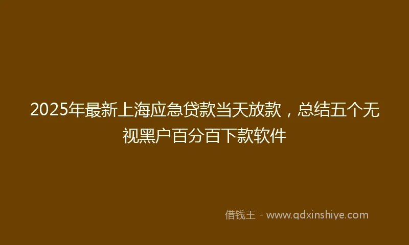 2025年最新上海应急贷款当天放款，总结五个无视黑户百分百下款软件