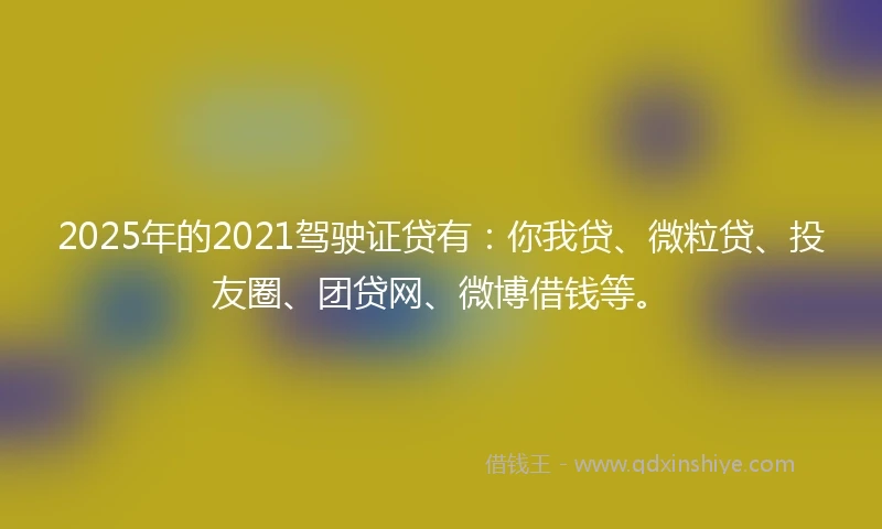 2025年的2021驾驶证贷有：你我贷、微粒贷、投友圈、团贷网、微博借钱等。