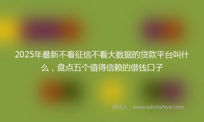 2025年最新不看征信不看大数据的贷款平台叫什么，盘点五个值得信赖的借钱口子