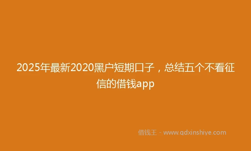 2025年最新2020黑户短期口子,总结五个不看征信的借钱app