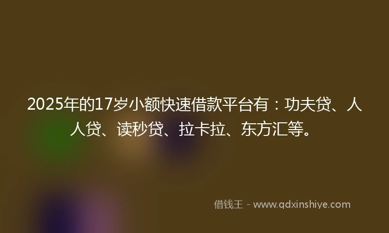2025年的17岁小额快速借款平台有：功夫贷、人人贷、读秒贷、拉卡拉、东方汇等。
