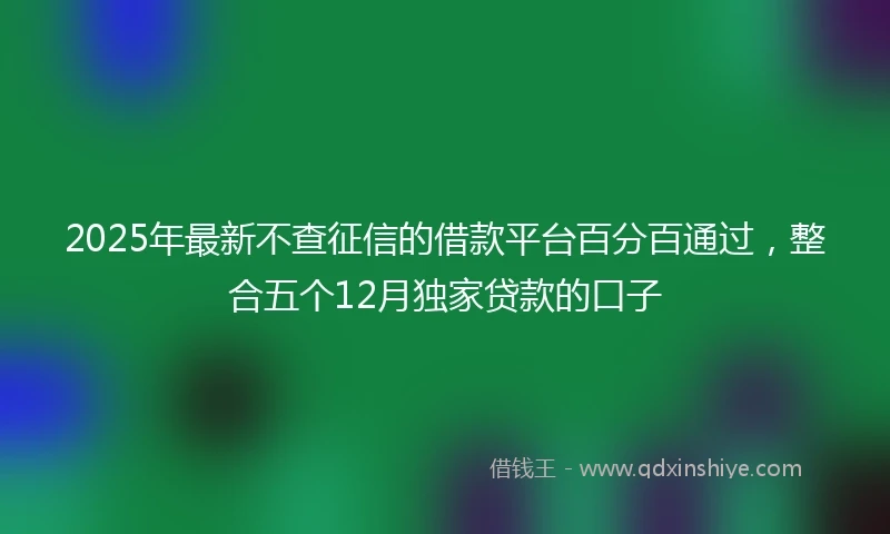 2025年最新不查征信的借款平台百分百通过，整合五个12月独家贷款的口子