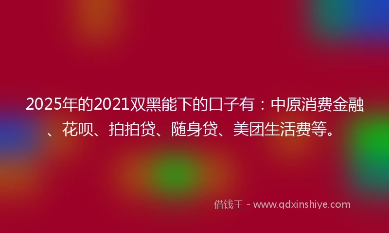 2025年的2021双黑能下的口子有：中原消费金融、花呗、拍拍贷、随身贷、美团生活费等。
