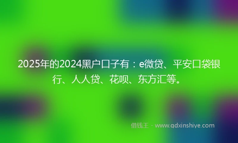 2025年的2024黑户口子有：e微贷、平安口袋银行、人人贷、花呗、东方汇等。