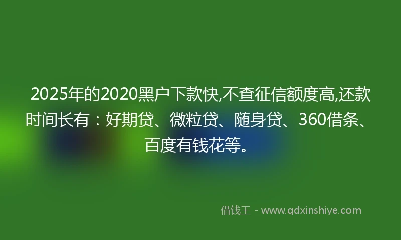 2025年的2020黑户下款快,不查征信额度高,还款时间长有：好期贷、微粒贷、随身贷、360借条、百度有钱花等。