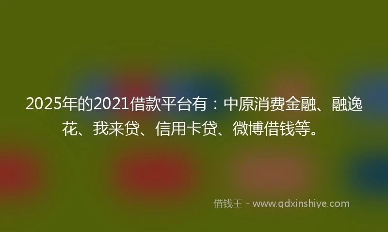 2025年的2021借款平台有：中原消费金融、融逸花、我来贷、信用卡贷、微博借钱等。