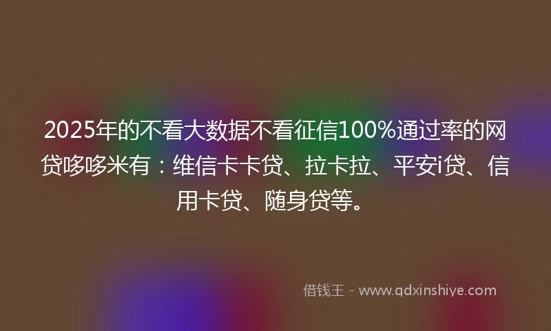 2025年的不看大数据不看征信100%通过率的网贷哆哆米有：维信卡卡贷、拉卡拉、平安i贷、信用卡贷、随身贷等。