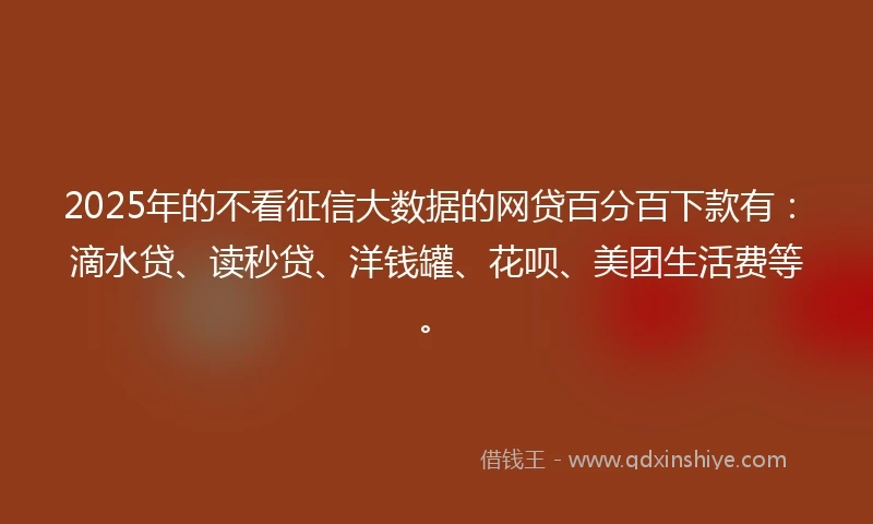 2025年的不看征信大数据的网贷百分百下款有：滴水贷、读秒贷、洋钱罐、花呗、美团生活费等。