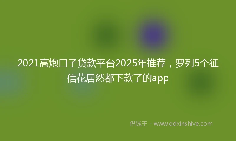 2021高炮口子贷款平台2025年推荐，罗列5个征信花居然都下款了的app